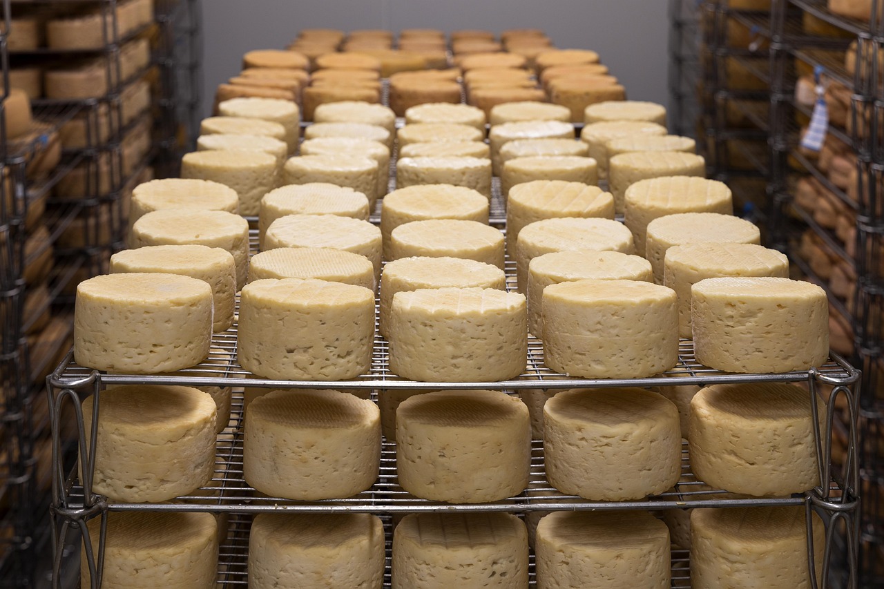 25-Year Swedish Study Links Full-Fat Cheese to... | Therio