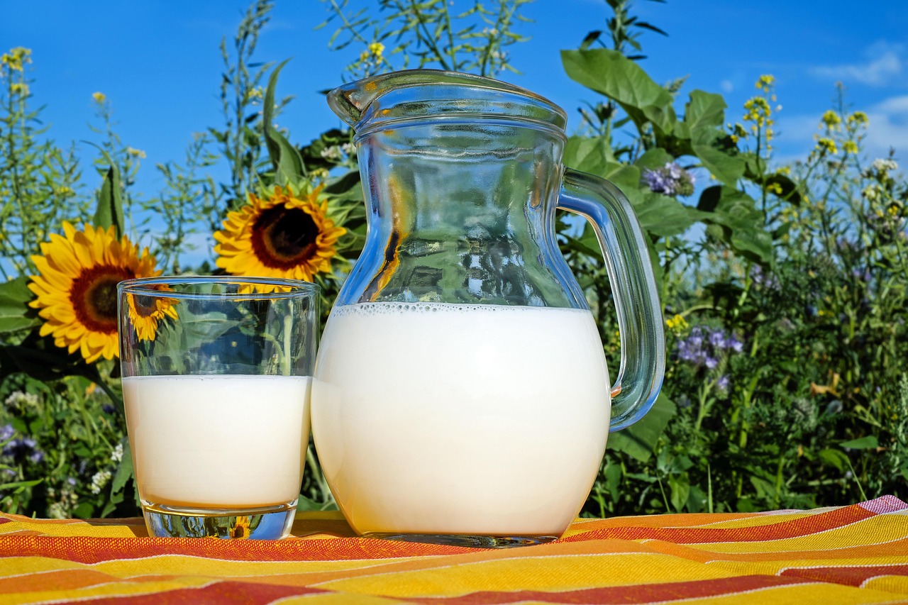 Understanding Milk Quality Metrics: SCC, SPC,... | Therio