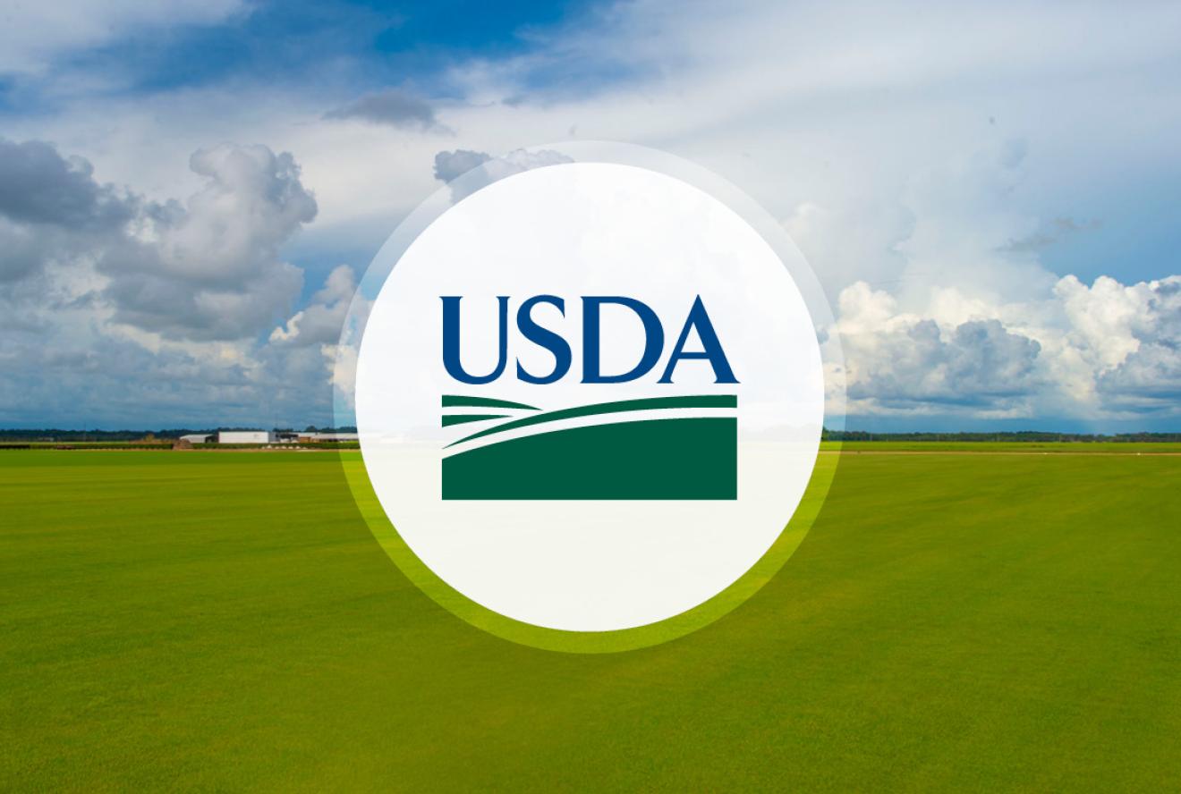 USDA Announces $148 Million in Dairy Purchases... | Therio