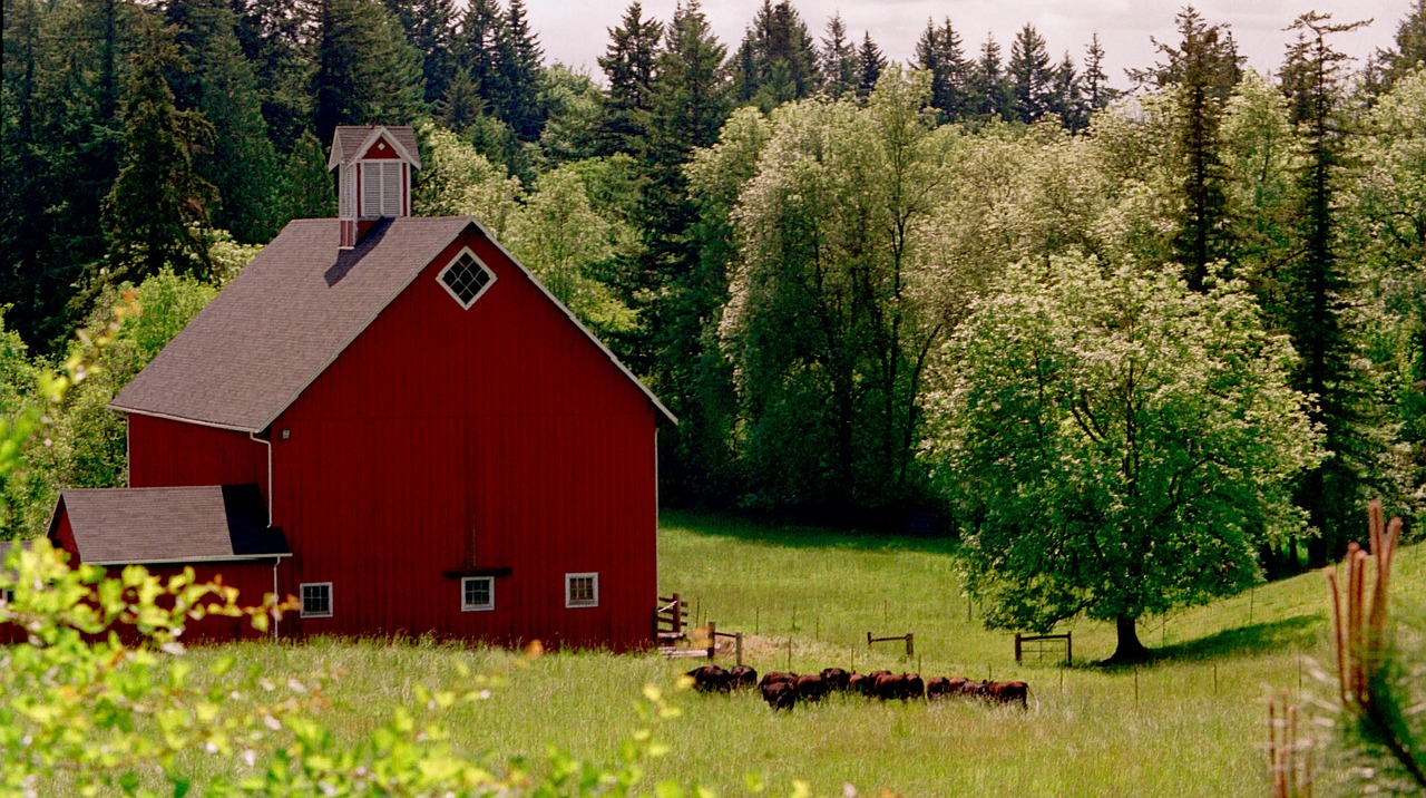 Wisconsin Confirms First Bird Flu Case in Dairy... | Therio